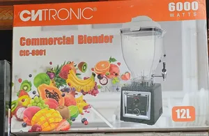 12l Commercial Blender