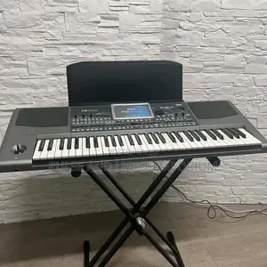Korg Pa900 61-key Professional Arranger Workstation(Keyboard)