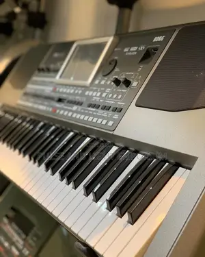 Korg Pa900 61-key Professional Arranger Workstation(Keyboard)