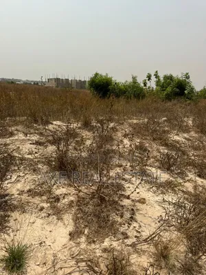 Attractive Offers + Authentic Lands -Prampram New Ningo
