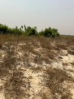 Attractive Offers + Authentic Lands -Prampram New Ningo