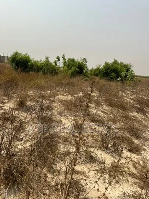 Attractive Offers + Authentic Lands -Prampram New Ningo
