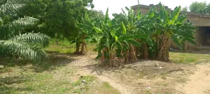 A Spintex Main Road Land for Sale* *Size:* 1.16 Acres