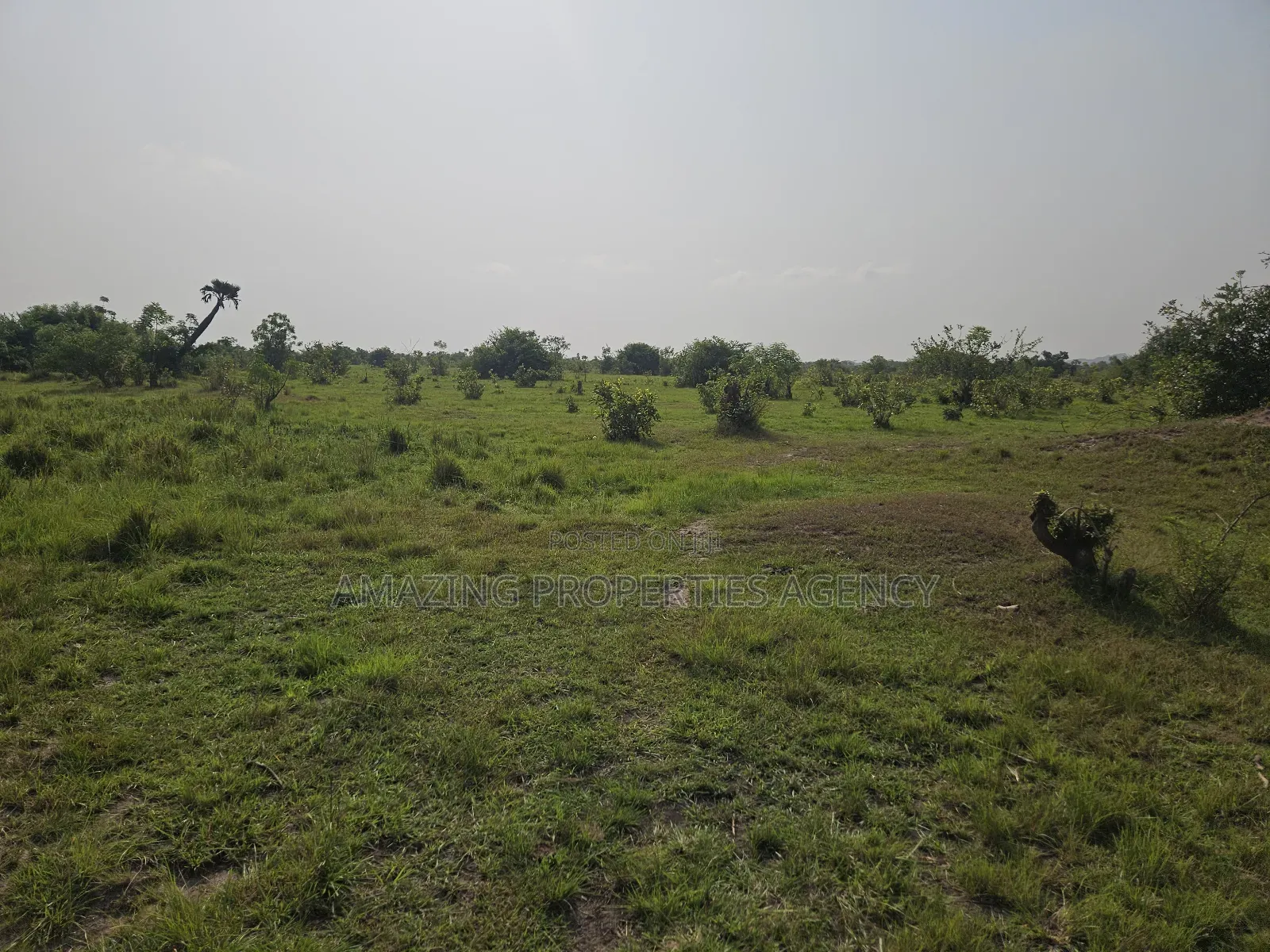 3 000 Acres of Land at Shai Hills Vast Land for Sale*