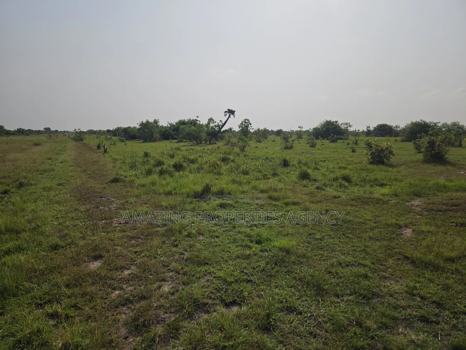 3 000 Acres of Land at Shai Hills Vast Land for Sale*