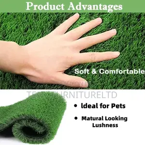 Green Grass Sales and Installation