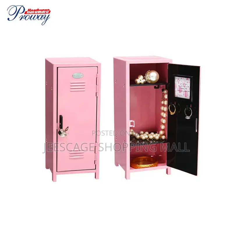 Mini Locker Storage Cabinet For Keeping Many Items