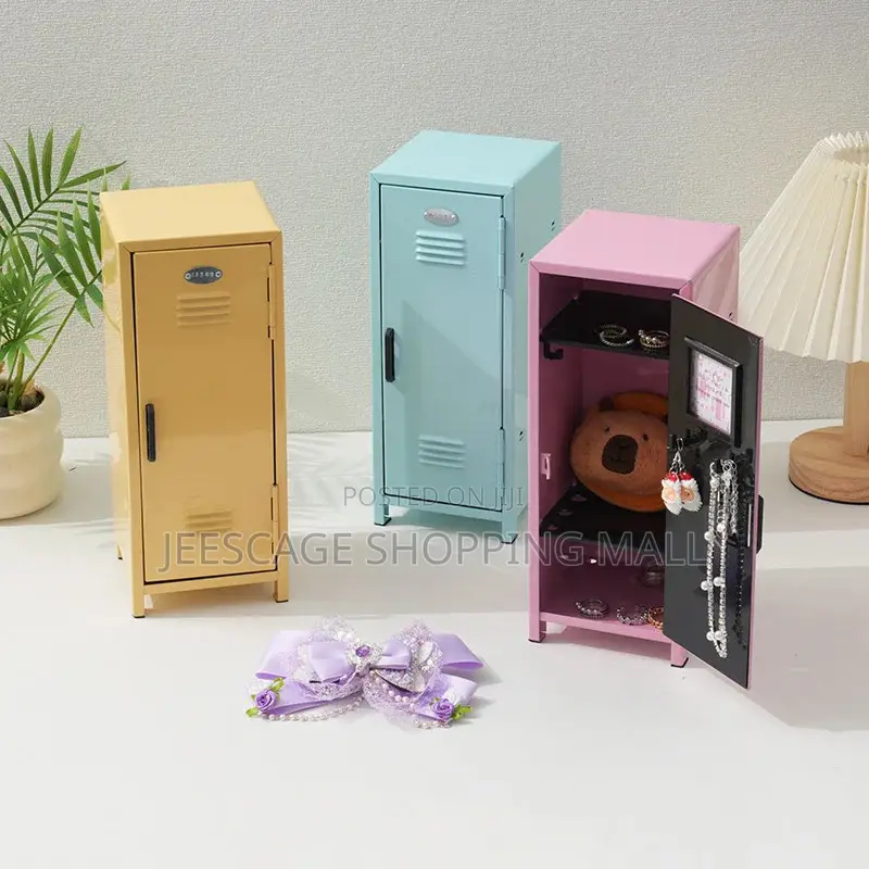 Mini Locker Storage Cabinet For Keeping Many Items