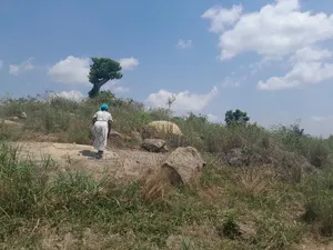 2 Plots of Land