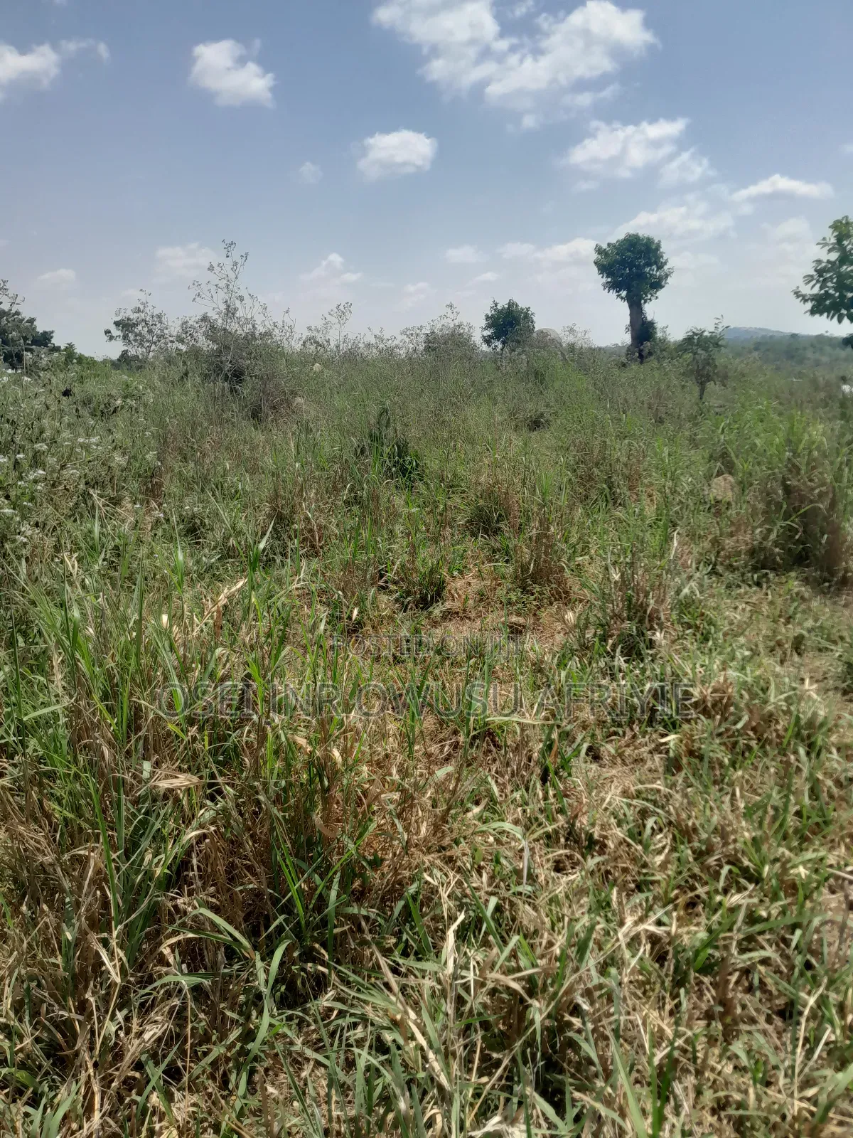 2 Plots of Land