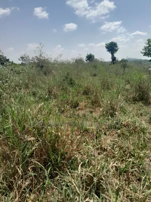2 Plots of Land