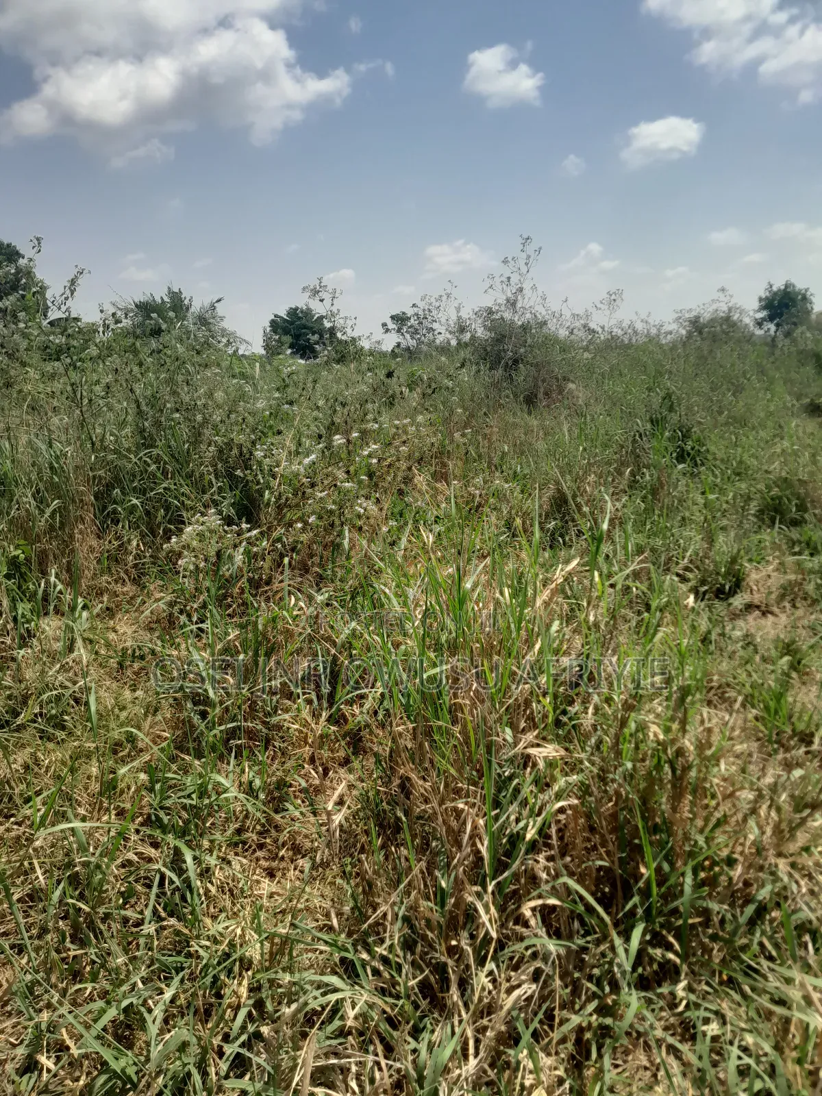 2 Plots of Land