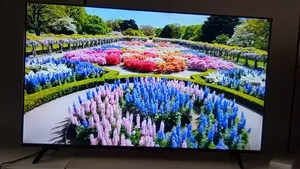 Stunning Clarity on a 50-Inch Qled Smart Tv