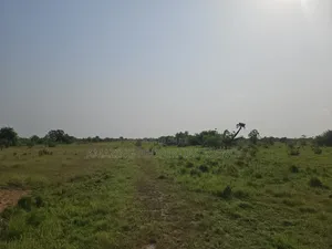 40 Acres of Land for Sale at School Junction