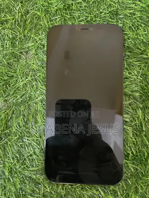 Apple iPhone 12 Pro Max 128 GB Blue