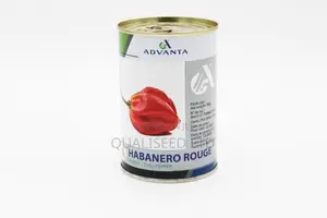 Habanero Seeds - Rouge [50g]