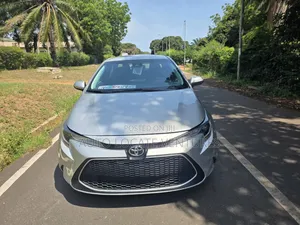 Toyota Corolla LE 2022 Silver