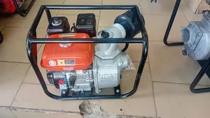 Powerful 6.5hp Leo High Pressure Water Pump