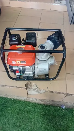 6.5hp Fast Pumping Clean Power Leo Water Pump