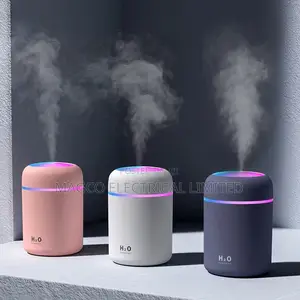Diffuser Humidifier