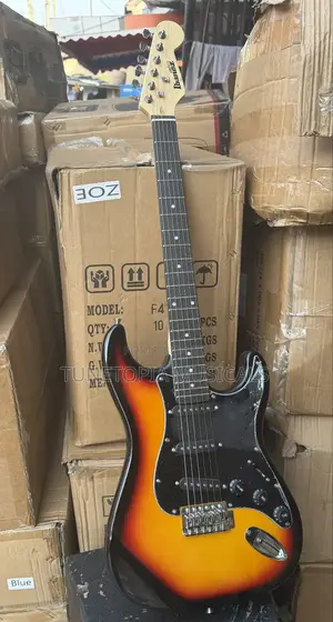 Ibanez Electric Guitar