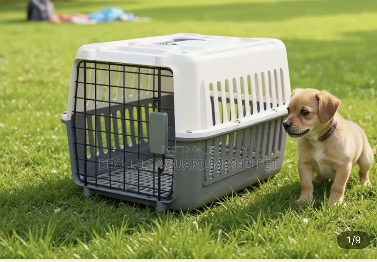 Plastic Platinum Approved Flight Plastic Cage ( Medium Size )