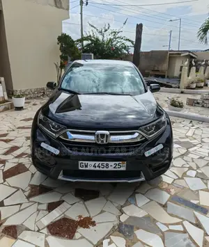 Car Rental