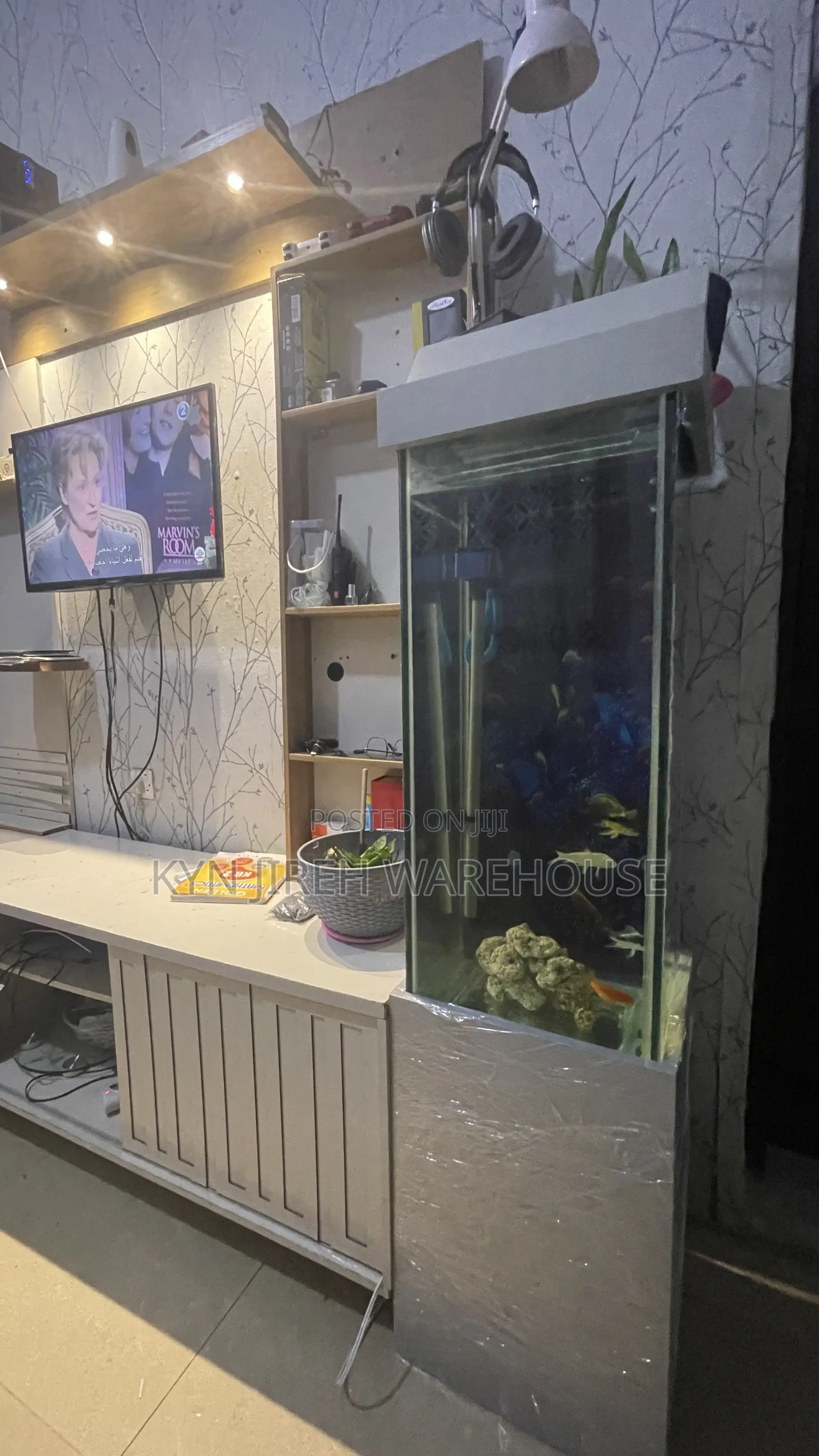 Greyhound Aquarium With 10 Fishes