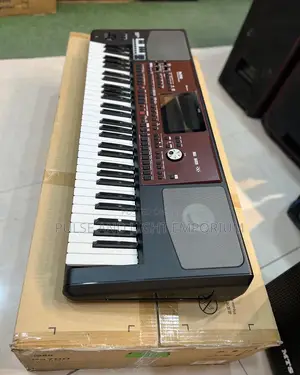 Korg Pa700 61-key Arranger Workstation(Keyboard)