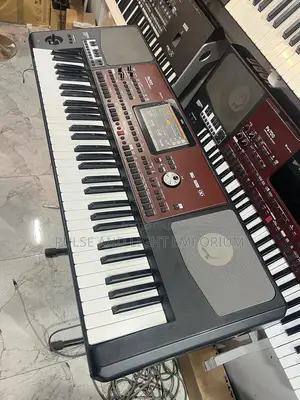 Korg Pa700 61-key Arranger Workstation(Keyboard)