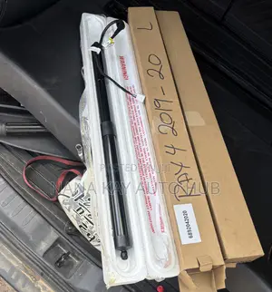 Toyota Rav4 2018,2019,2020 Electronic Boot Shocks Pair