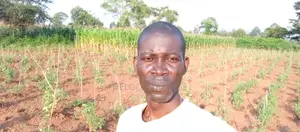 Agronomist/Vegetable Farm Sipervisor
