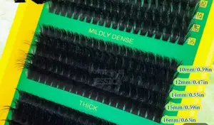 Cluster Lashes