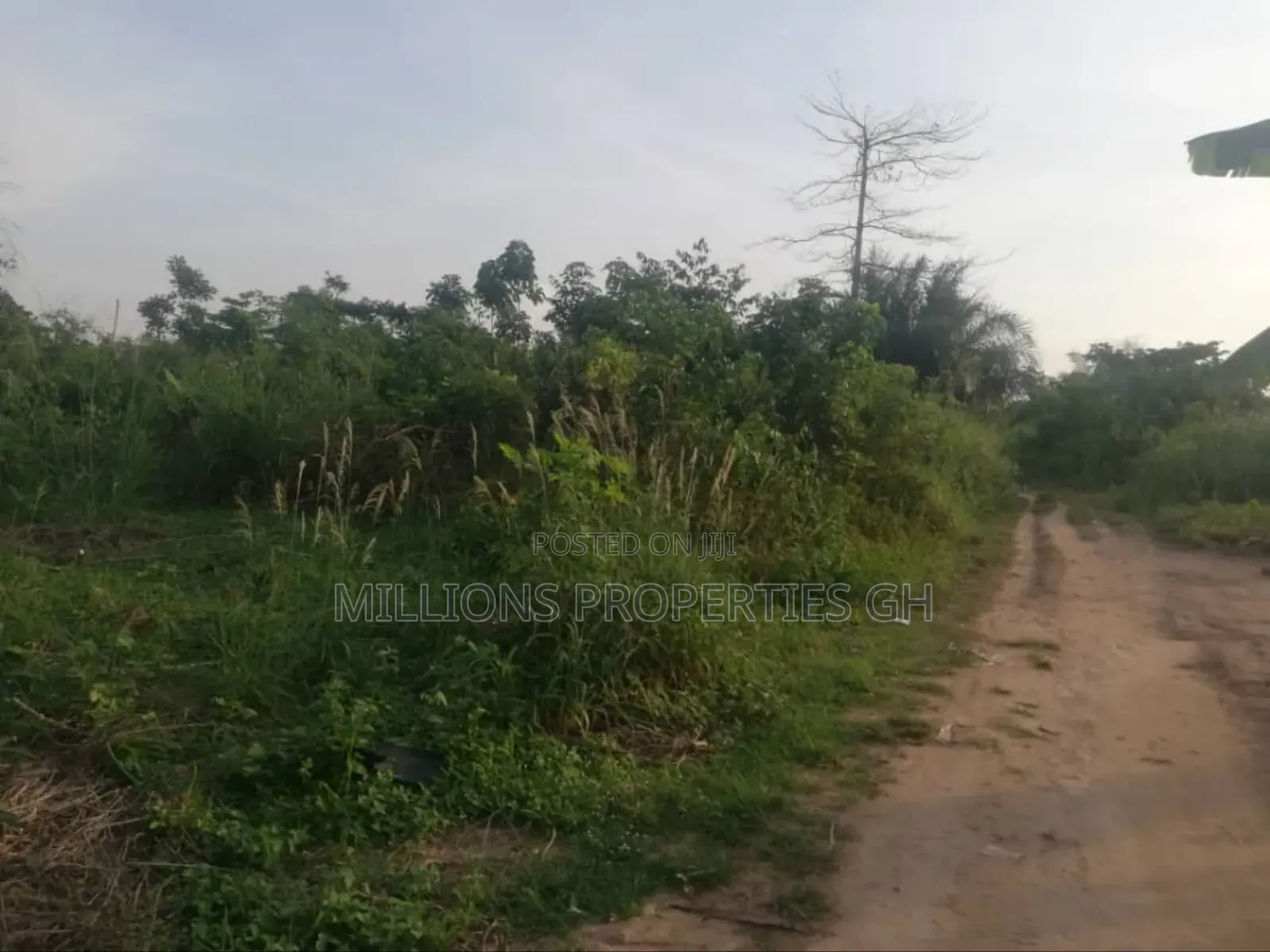 10 Plots 4sale Ejisu Effiduase -Bomso