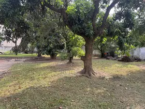 4 Plots of Land for Sale at Tesano