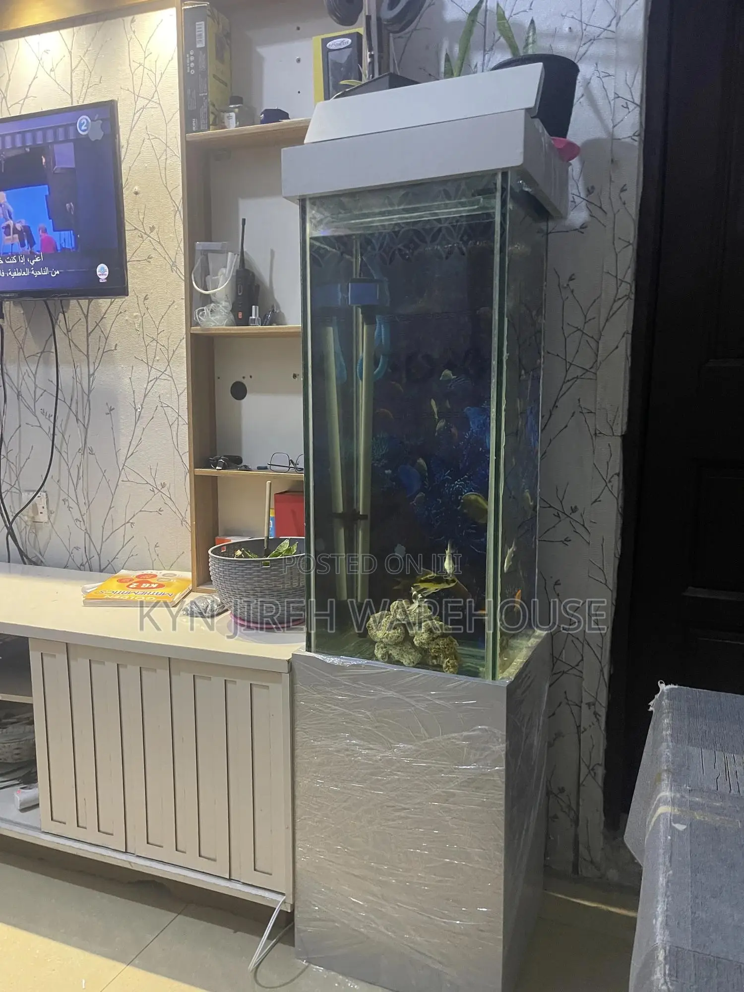 Greyhound Aquarium With 10 Fishes