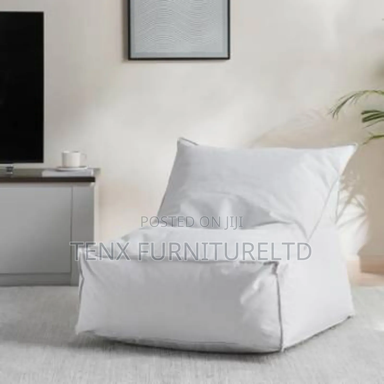 Bean Bag(Modern Lounge)