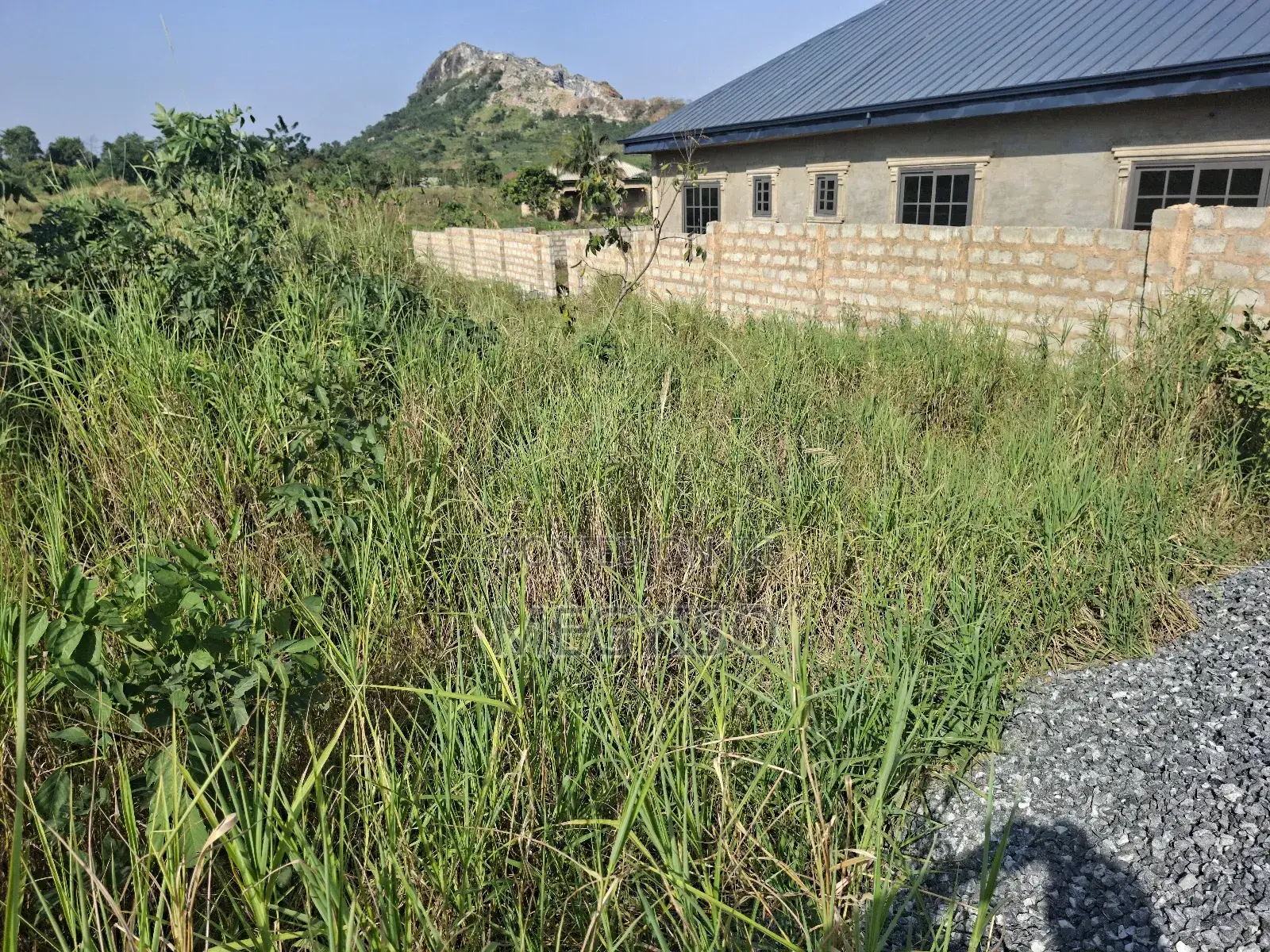 Half Plot Land