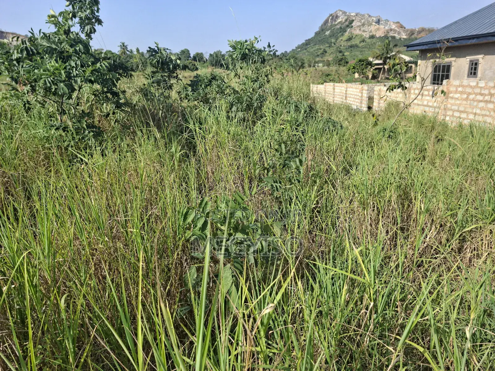 Half Plot Land