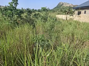 Half Plot Land