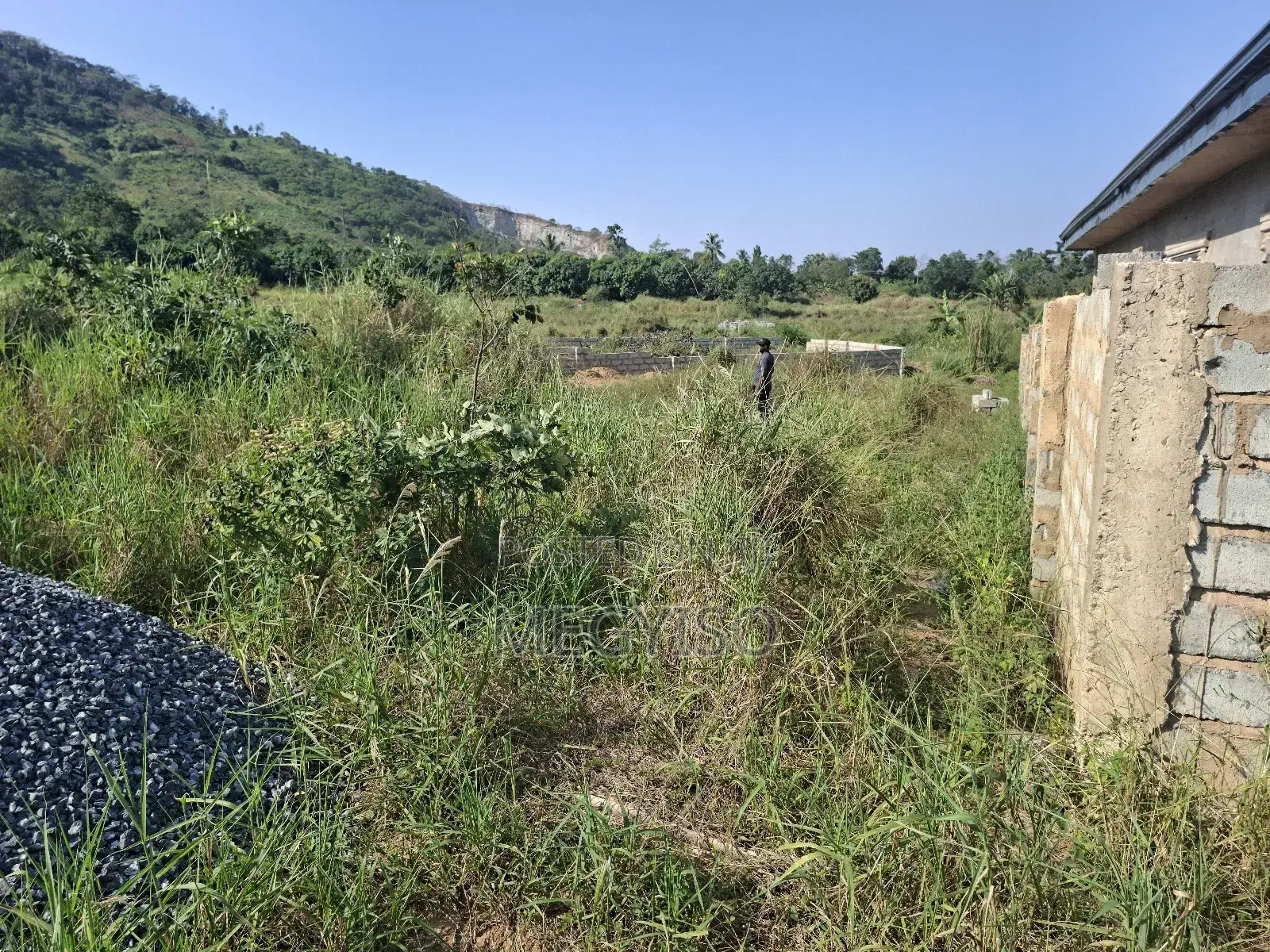 Half Plot Land