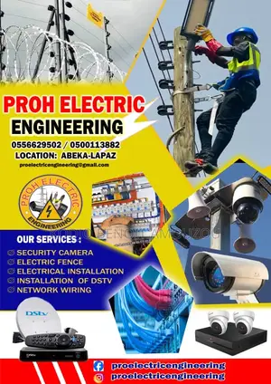 Professional Electrician