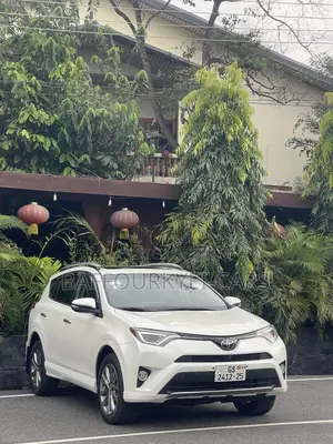 2019 Toyota Rav 4 Platinum Available for Rent