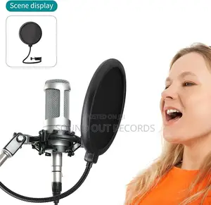 Promo Double Layer Microphone Pop Filter/ Shield