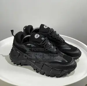 Original Reebok Zig Kinetica All Black
