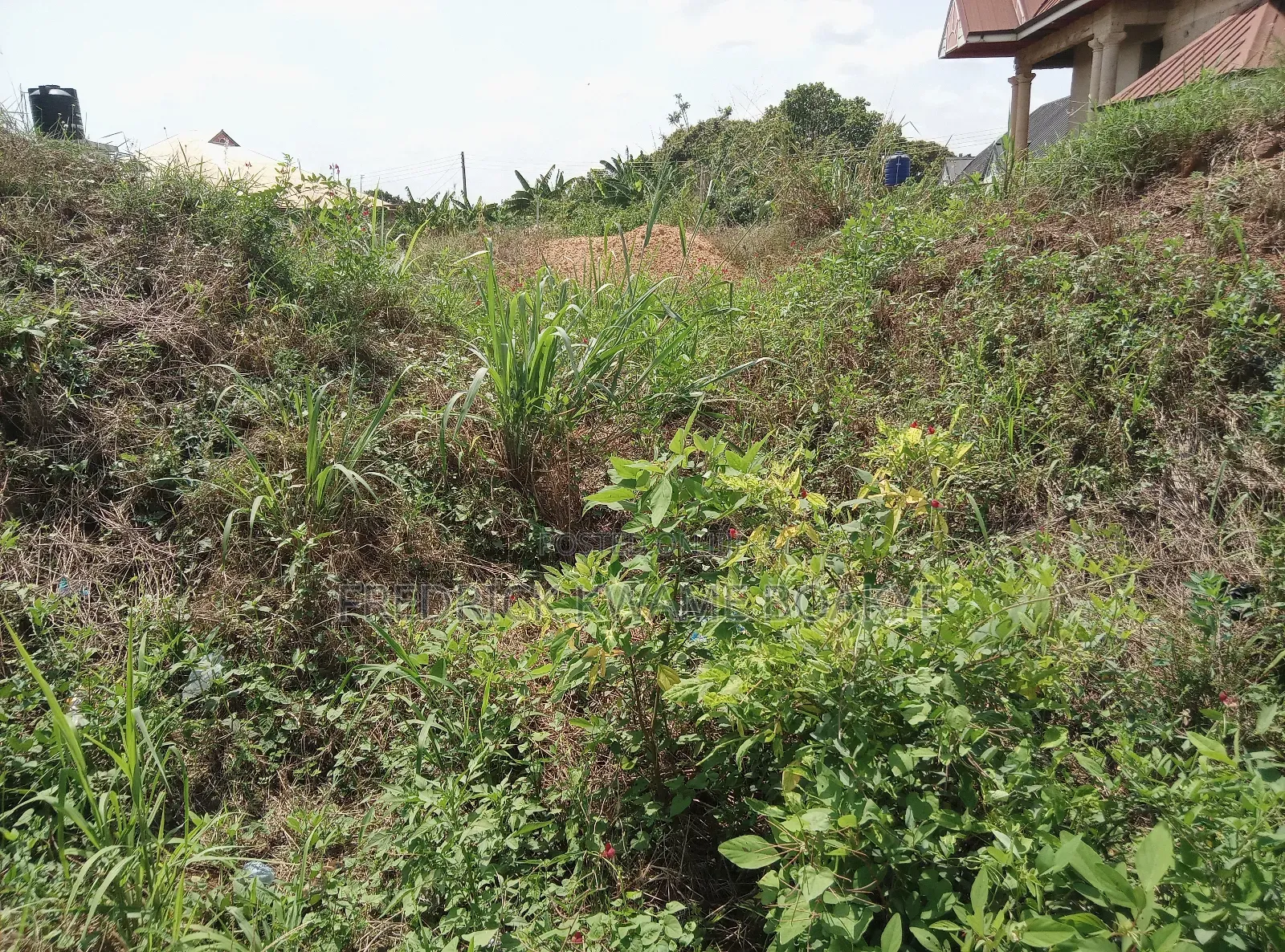 Plot of Land for Sale at Agric Akyeremade