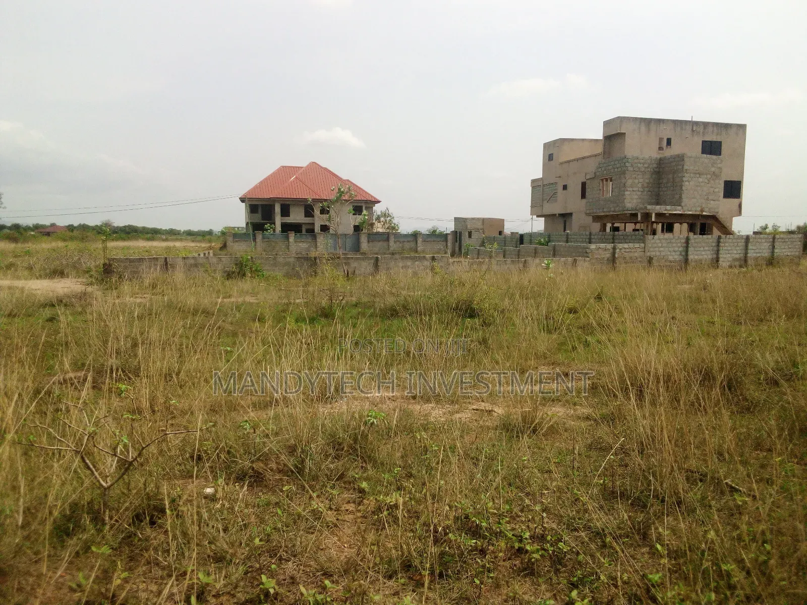 Classic Service Land - Appolonia