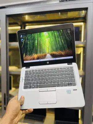 Laptop HP EliteBook 820 G3 8GB Intel Core I5 SSD 256GB