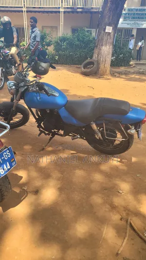 Kawasaki 2009 Blue