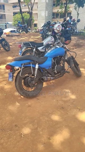 Kawasaki 2009 Blue